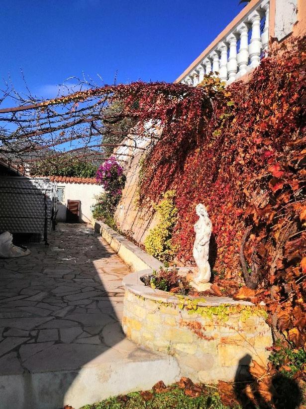 Chambres Chez L'Habitant Villa L'Ile Aux Anges Saint-Andre  Ngoại thất bức ảnh